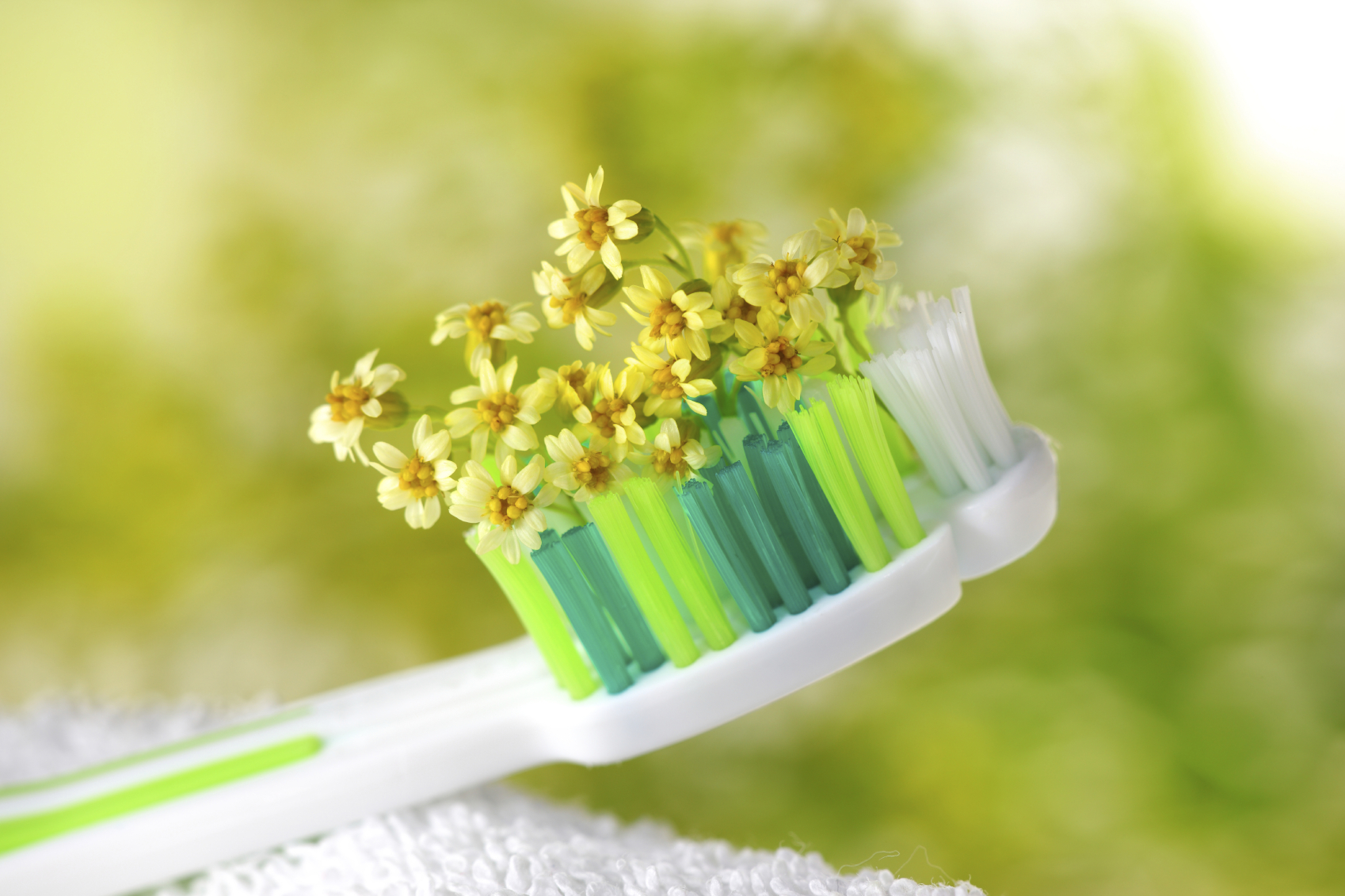 Toothbrush with tiny flowers. Healthcare